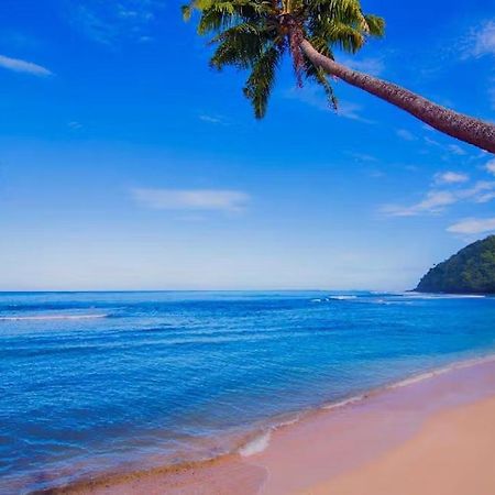 Survivor Samoa Beach Resort Falelatai Exteriör bild