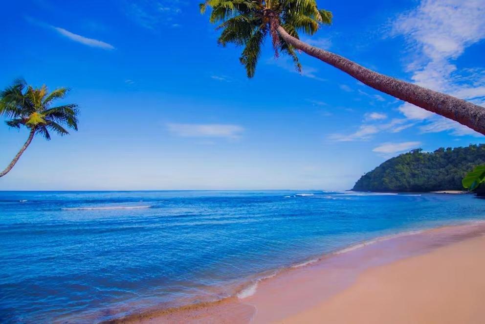 Survivor Samoa Beach Resort Falelatai Exteriör bild